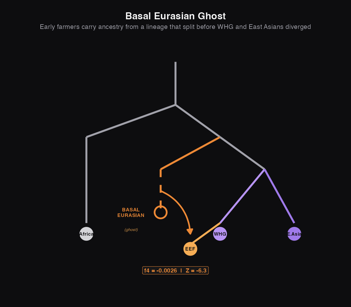Diagram showing Basal Eurasian ancestry in early farmers