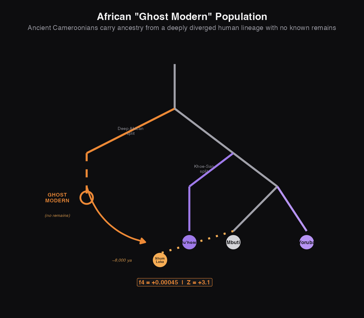 Diagram showing Ghost Modern ancestry in ancient African populations